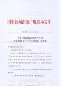 网络文化经营 新时代的文化产业机遇与挑战